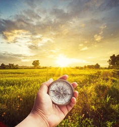 Agriculture for Life Instruction for Authors